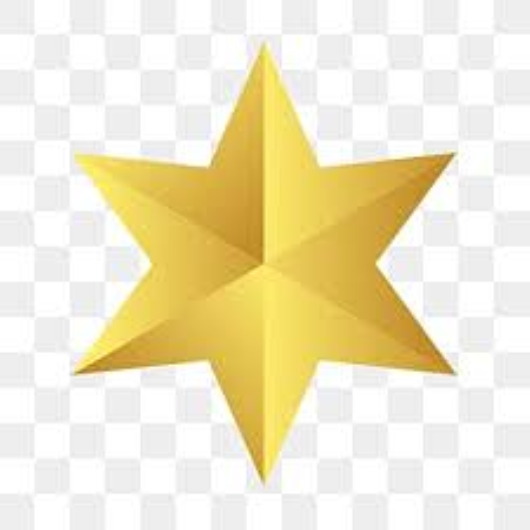 STAR 6 PIUCES 21392